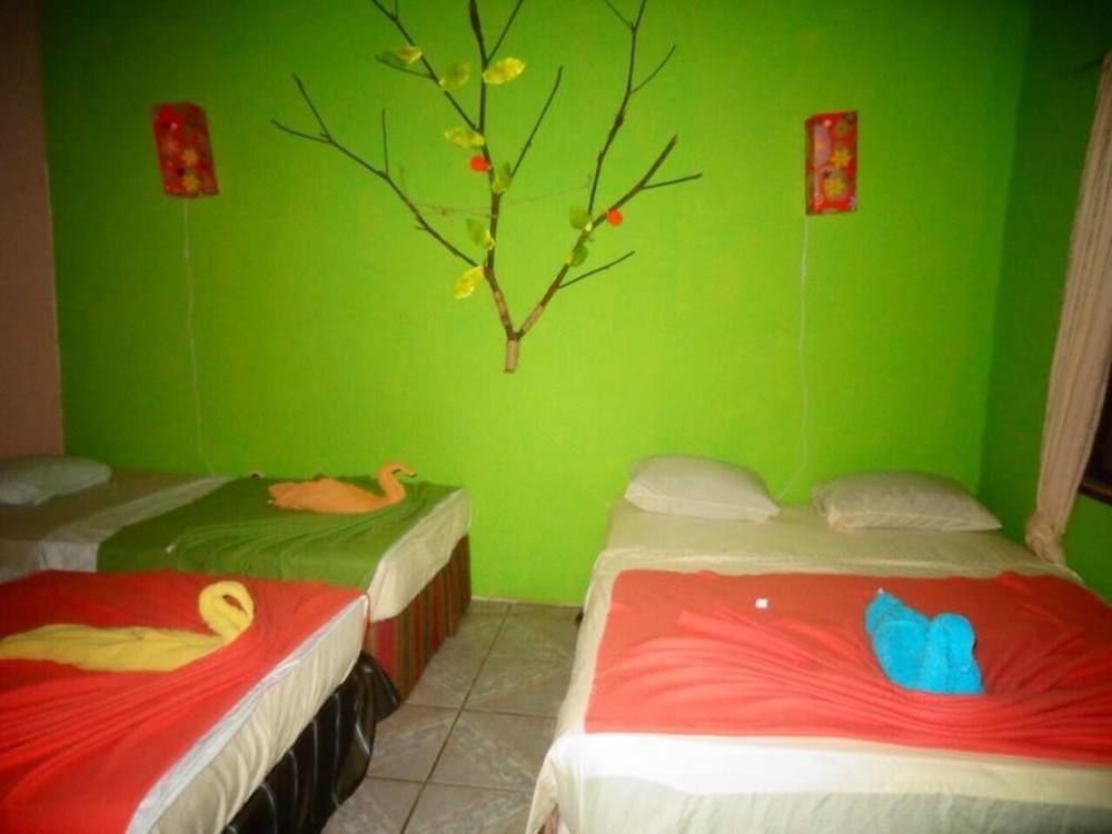 Cabinas Tortuguero Natural Extérieur photo