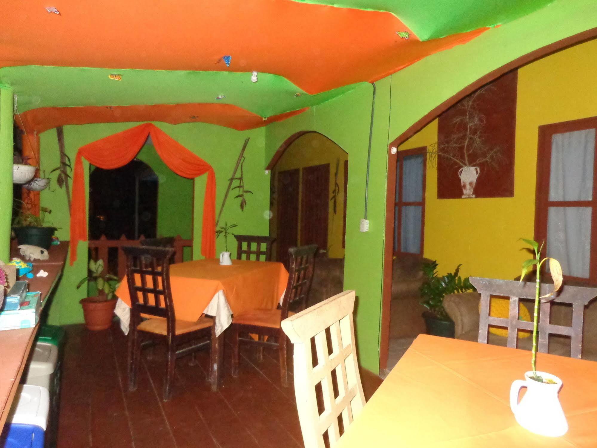 Cabinas Tortuguero Natural Extérieur photo